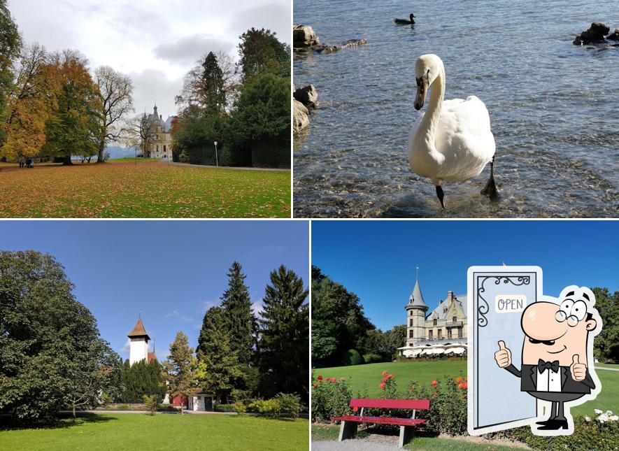 Vedi questa immagine di Schloss Schadau & Schadau-Park