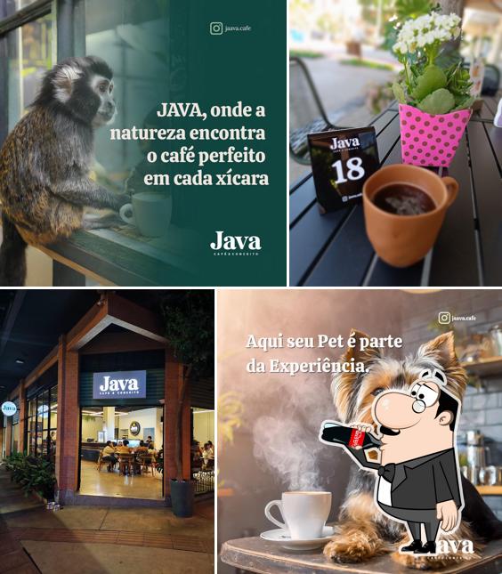 Java Café E Conceito