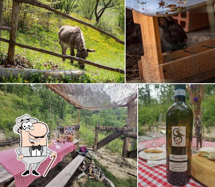 La Casa di Babu