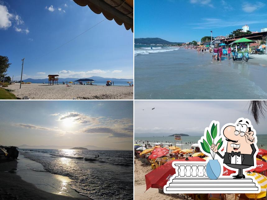 Desfrute da vista do exterior Tropical Beach