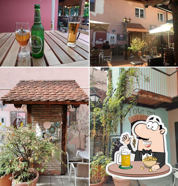 Toto Cafe bar, Mojca Furman s.p.