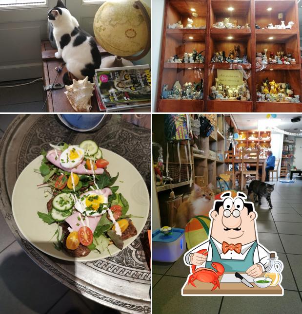 Jippies Cat Café