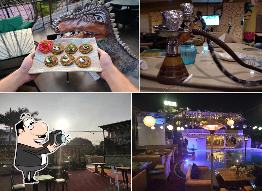 House No. 230 The Gourmet Kitchen & Bar, Bhopal Restaurant reviews