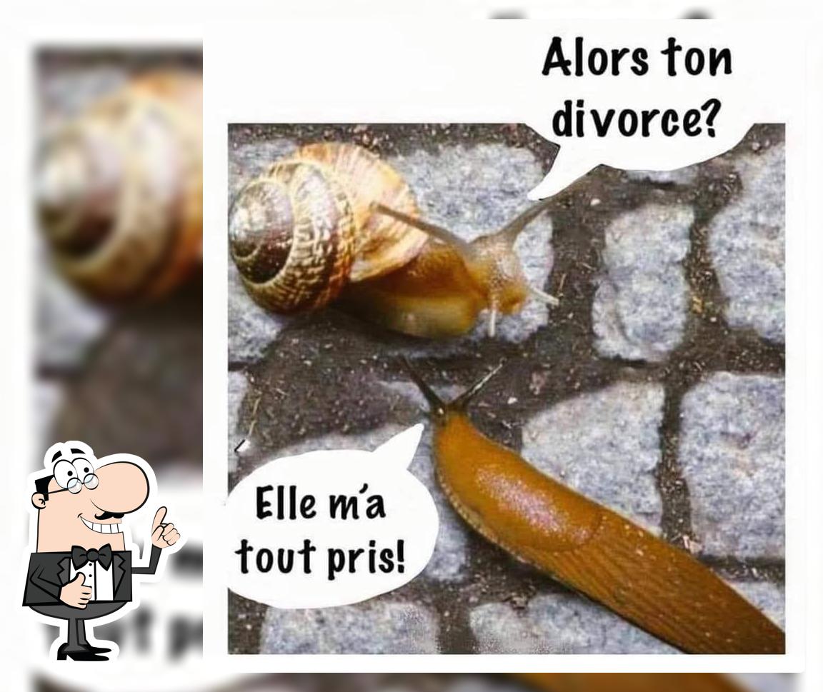L'Escargotine