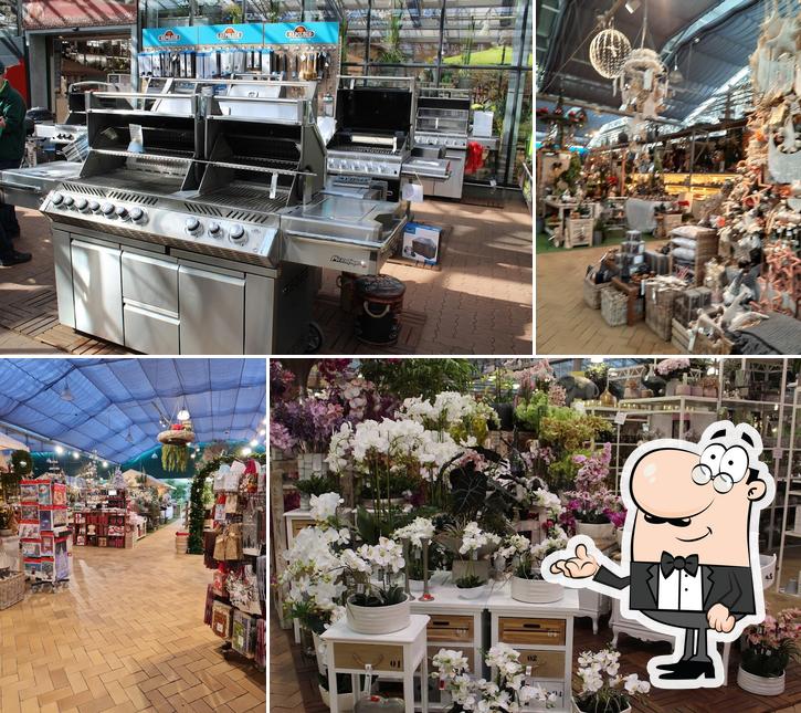 caférestaurant botanica im Grönfingers Rostocks Gartenfachmarkt