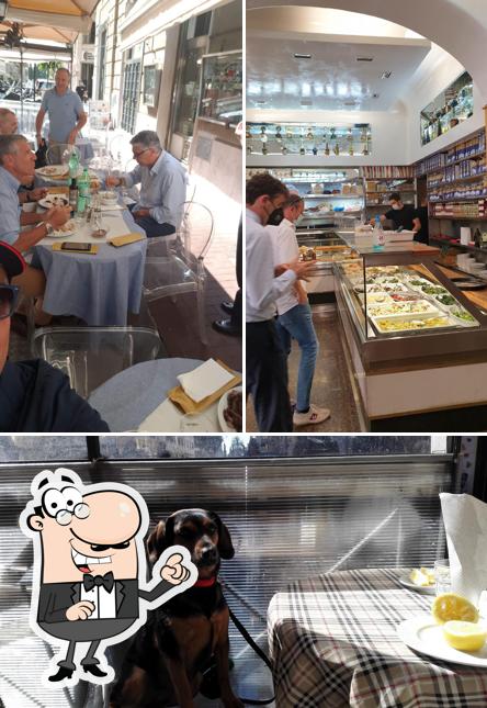 Gli interni di GARGANI VIA VENETO SRL