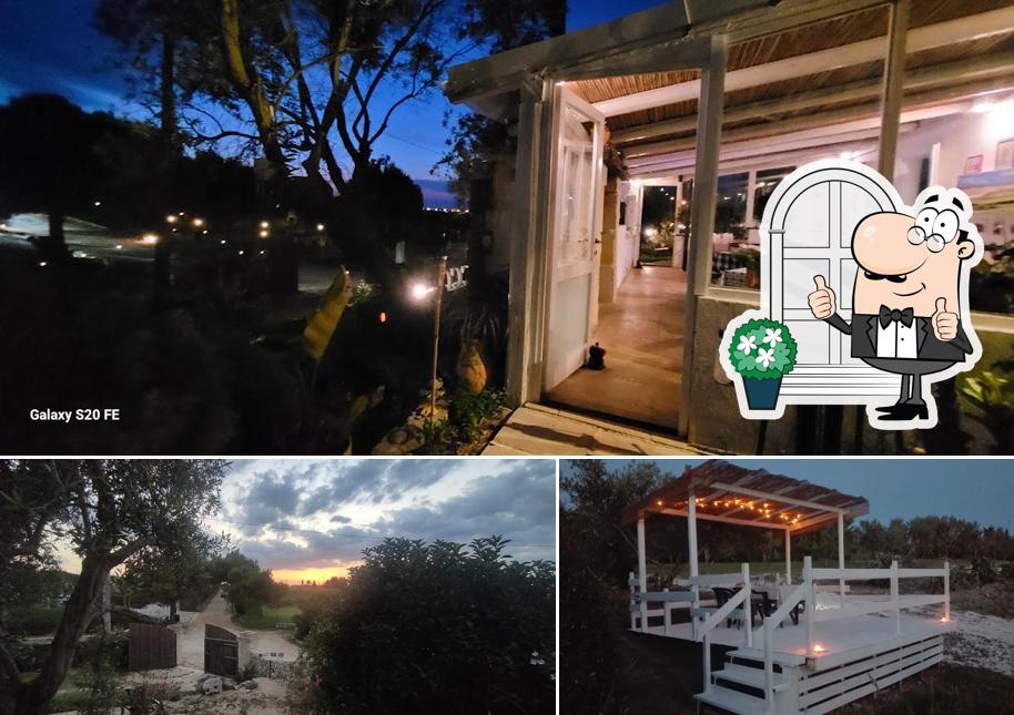 L'area esterna è una caratteristica importante di Tenuta Scirocco cucina tipica agriturismo biologico