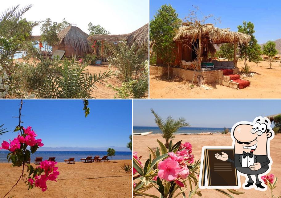 Посмотрите, как "Bedouin Star Beach Camp Nuweiba Egypt" выглядит снаружи