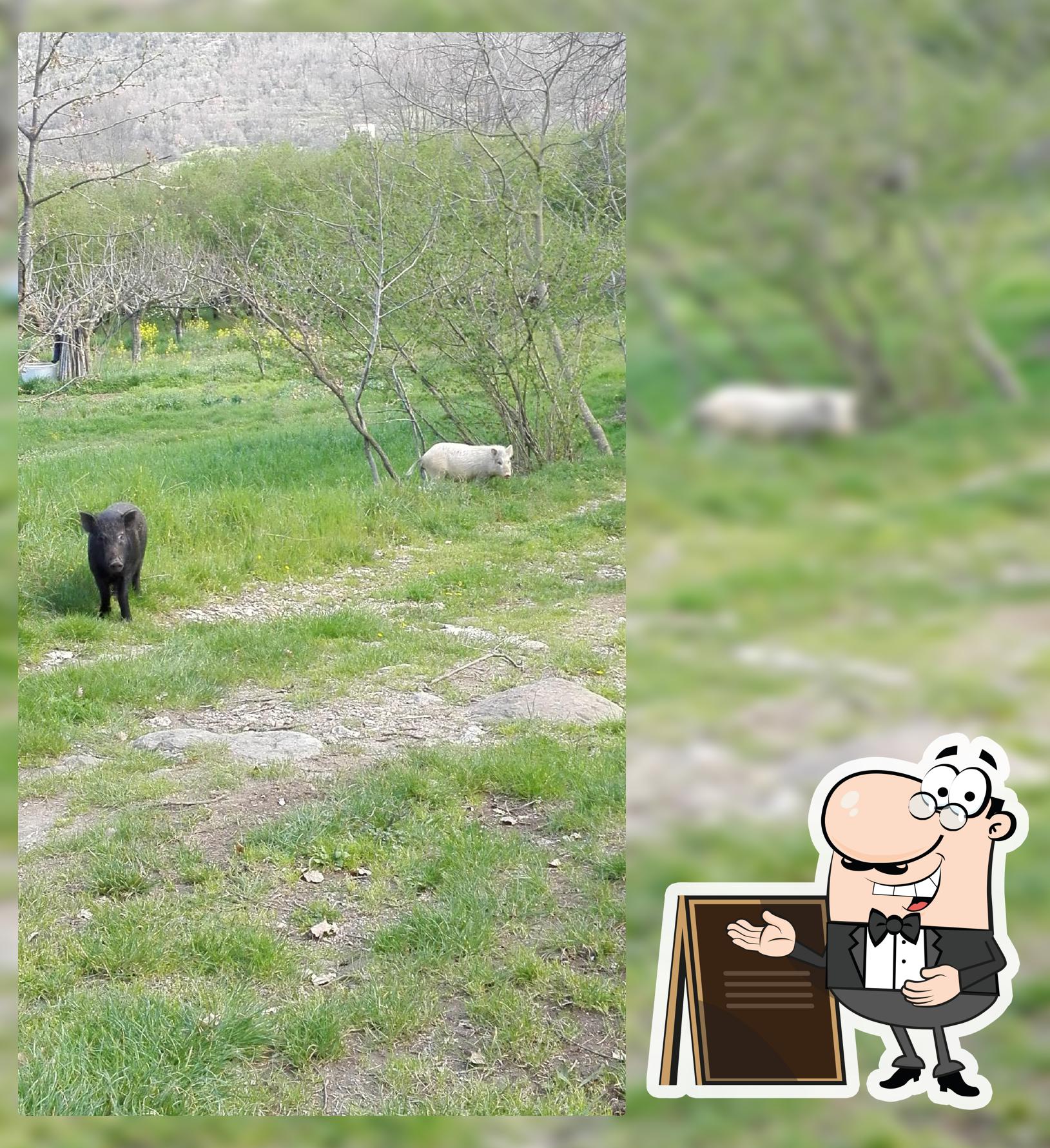 Agriturismo “La Reginella”