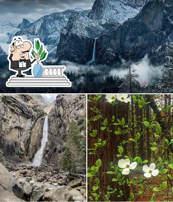 Tenaya Lodge at Yosemite in Fish Camp Restaurant reviews