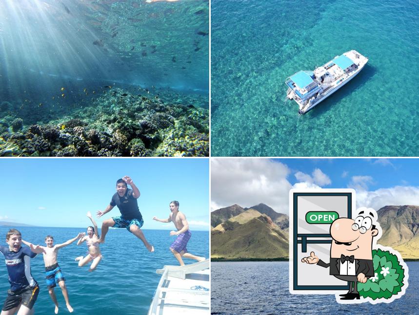 Maui Magic Molokini Snorkel Tour in Maalaea