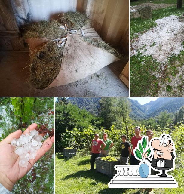 Gli esterni di Filanda de Boron