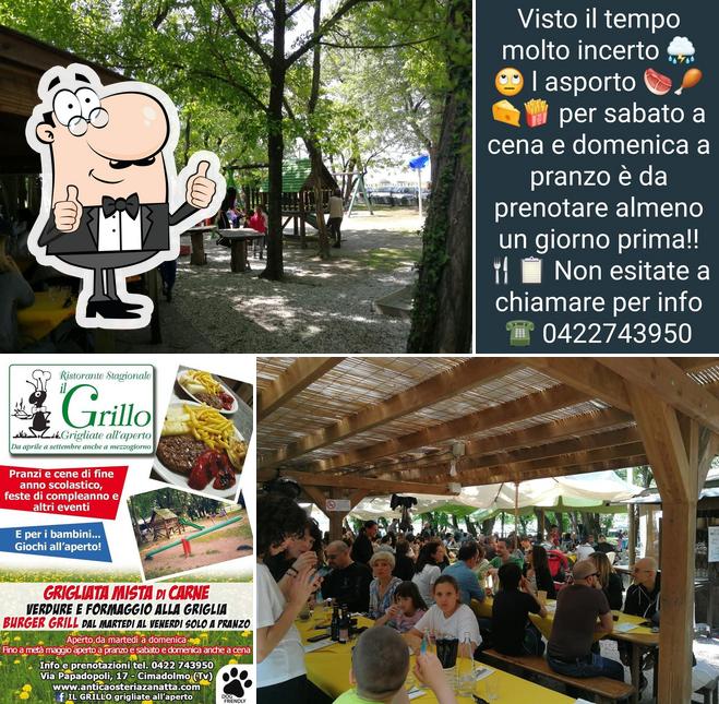 Il Grillo