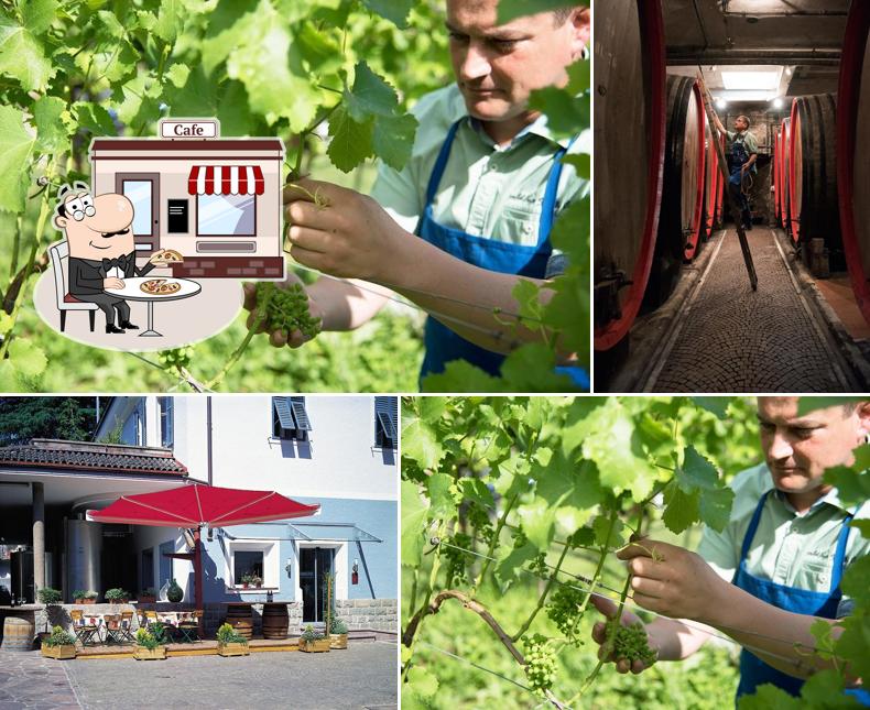 Gli esterni di Malojer Gummerhof