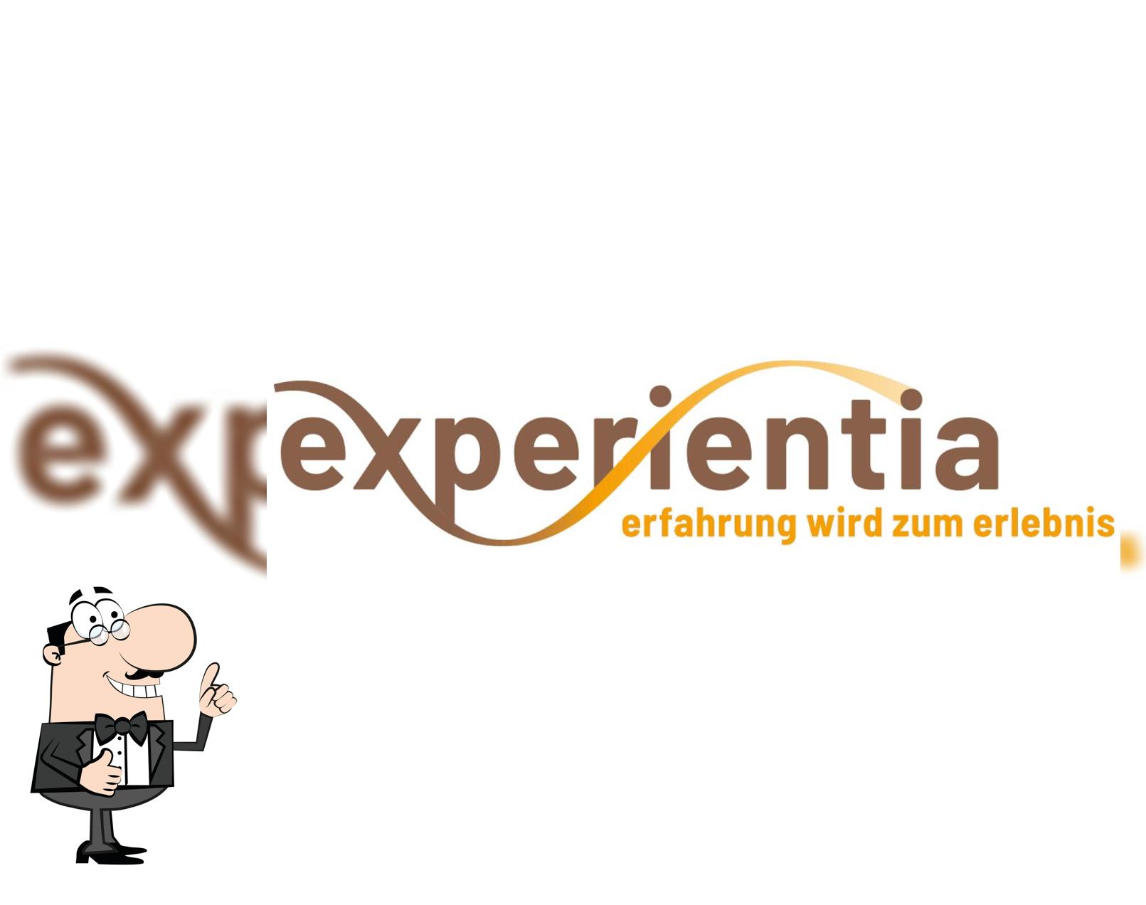 experientia ag