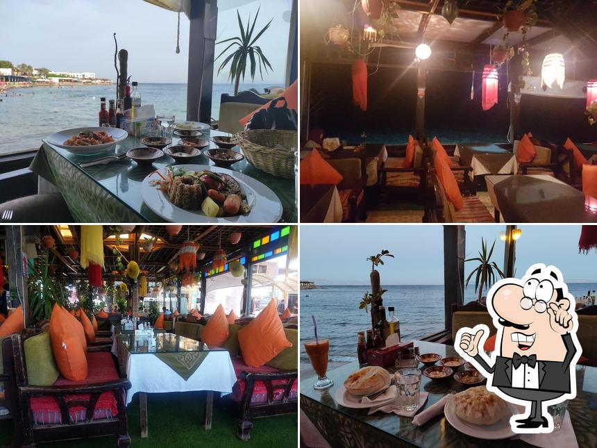 Shark Restaurant