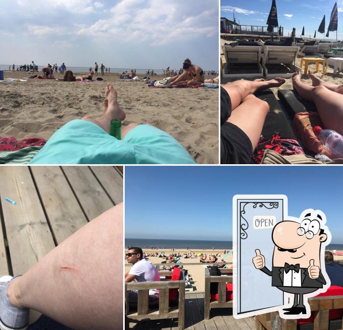 Voici une photo de Bruxelles aan Zee