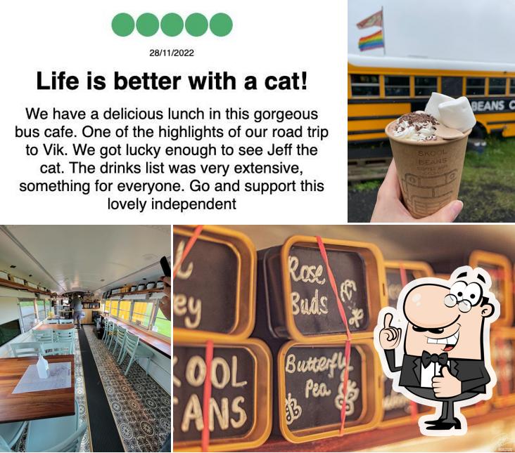Skool Beans micro roaster… and sometimes a cat! cafe, Vik Restaurant
