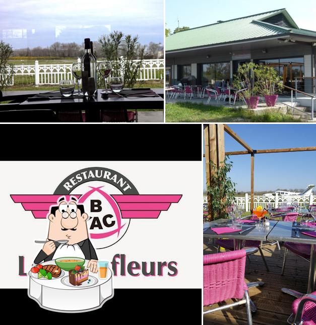 Le MIREFLEURS Aérodrome YVRAC