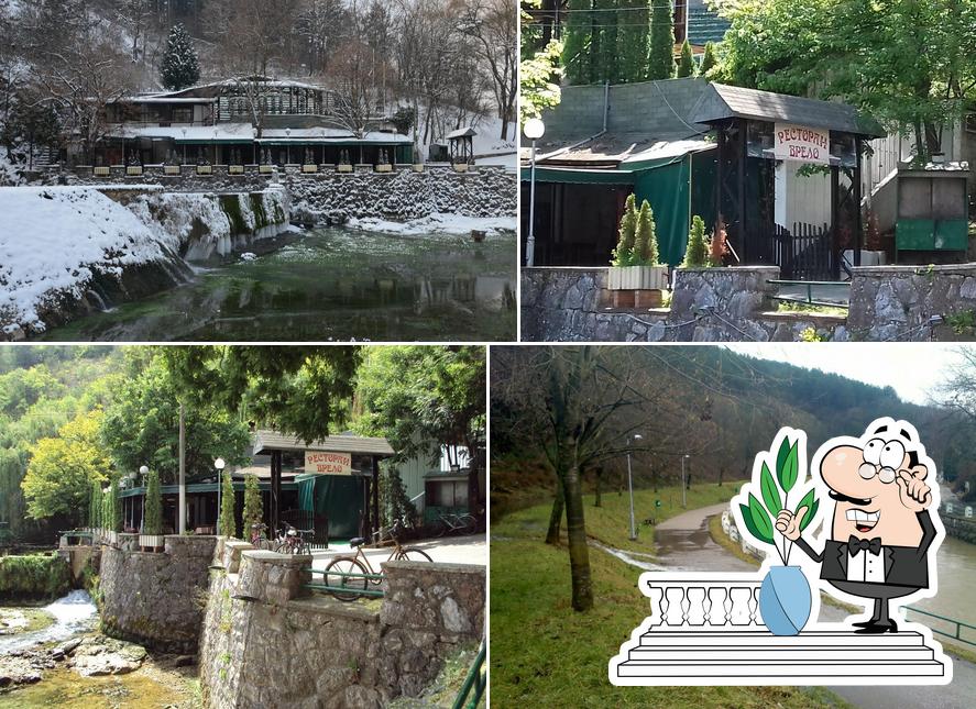 Restoran Vrelo restaurant, Bela Palanka Restaurant reviews