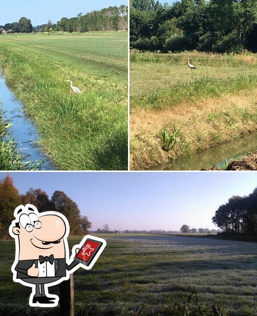 Hoeveallee