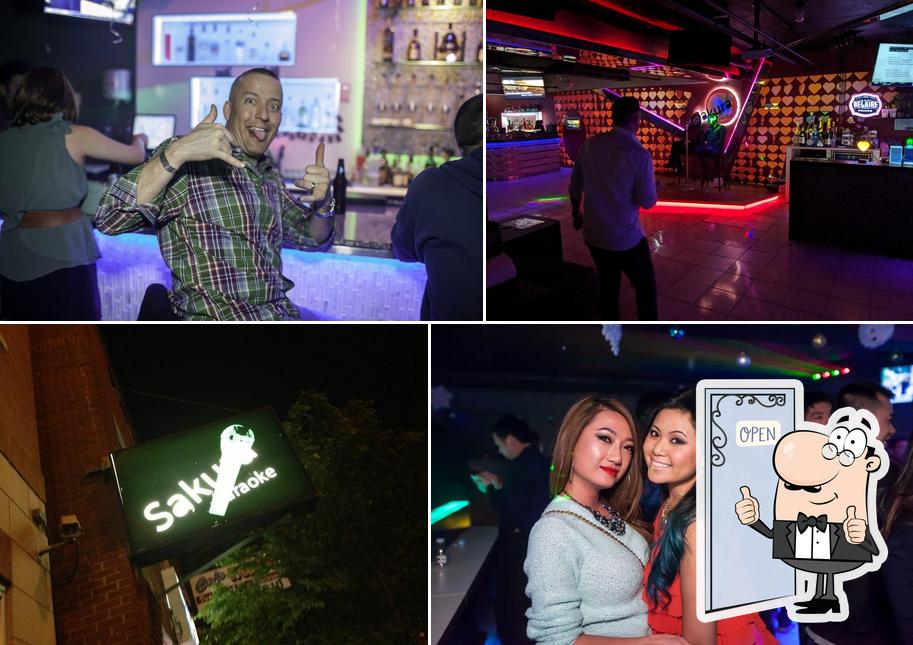 Sakura Karaoke Bar in Chicago Restaurant menu and reviews