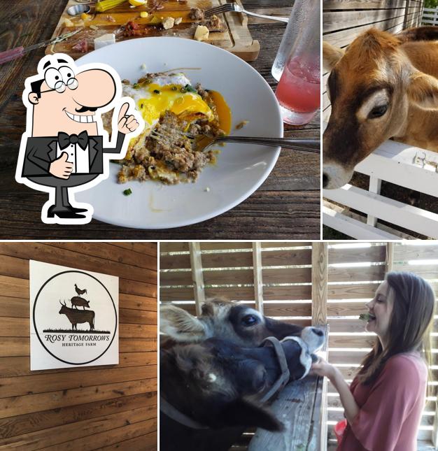 Rosy Tomorrows Heritage Farm in North Fort Myers Restaurant menu and