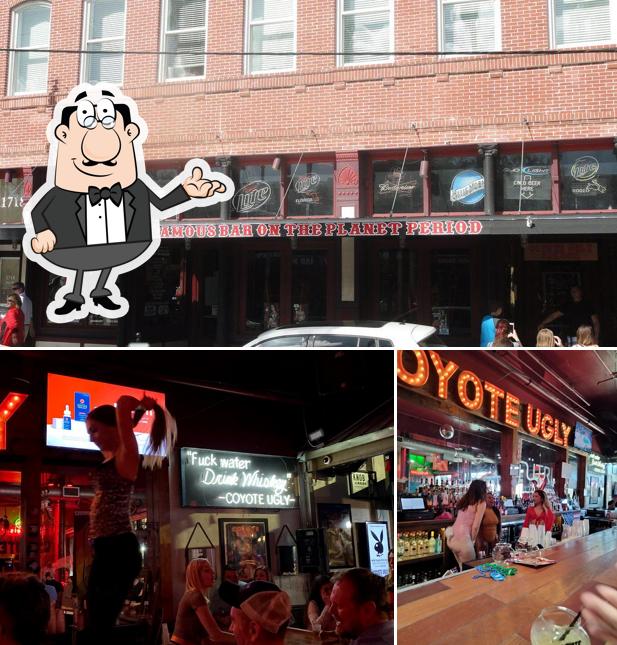 Coyote Ugly Saloon in Tampa - Restaurant reviews