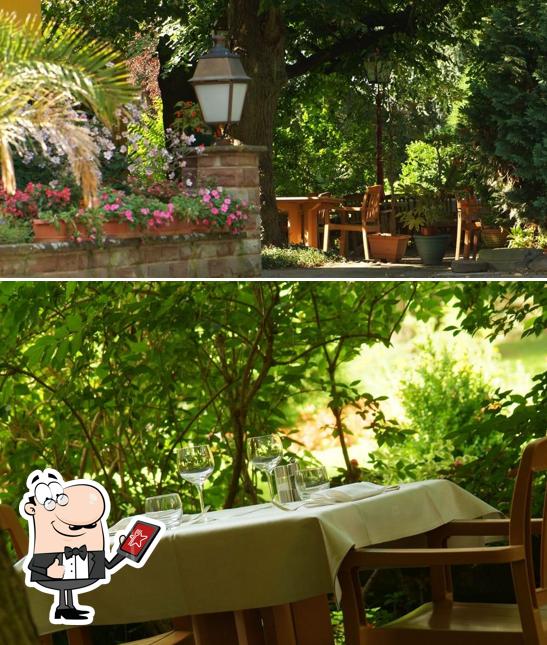 Au Moulin de la Wantzenau