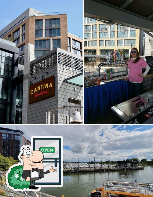 Cantina Bambina in Washington Restaurant reviews