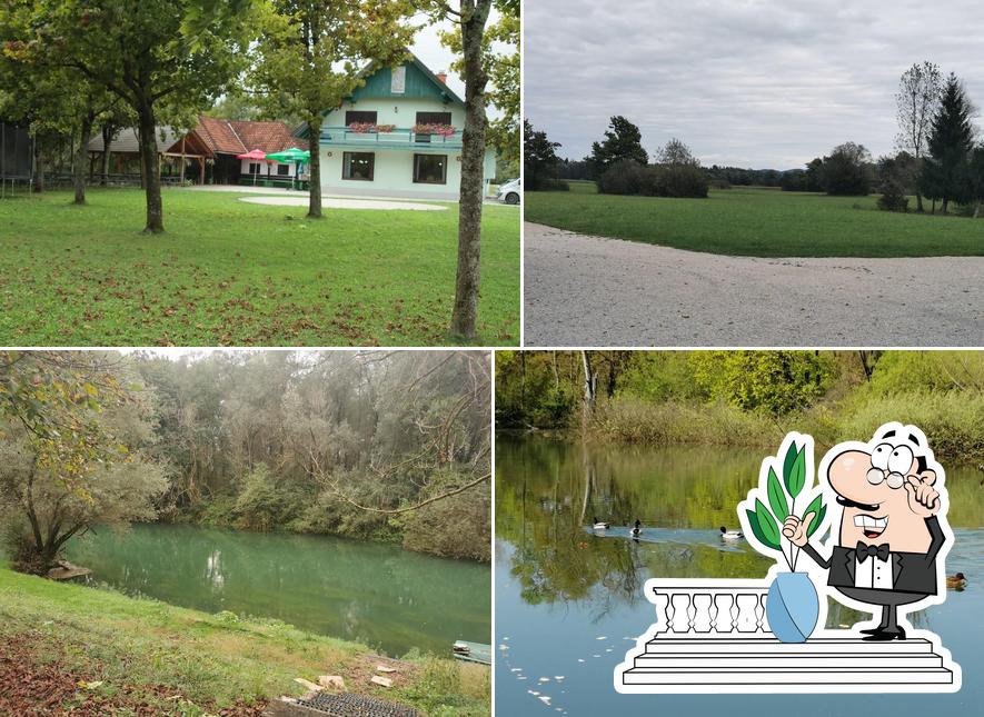 Ribiška družina Vrhnika