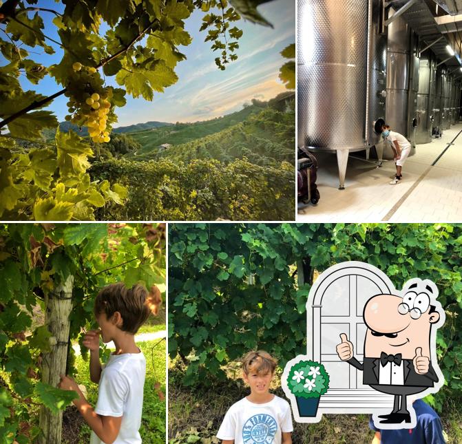 Cantina Guia - Valdobbiadene Prosecco Superiore