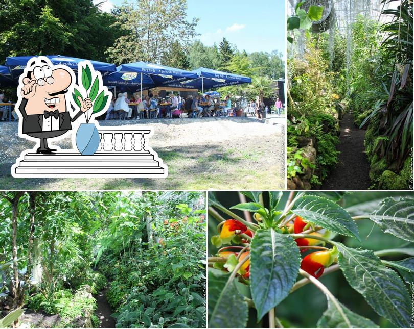 Biergarten am Botanischen Garten, Ulm Speisekarte, Preise und Bewertungen