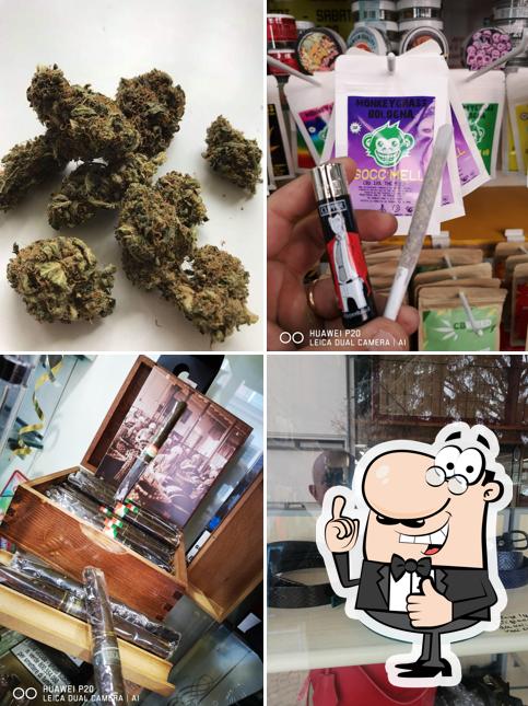 Tabaccheria Tarozzi'smoke&more, Casalecchio di Reno ELFBAR POINT ATM BITCOIN
