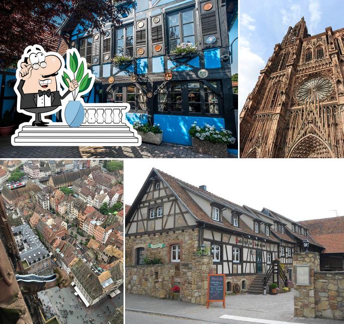 Les Restaurants Alsaciens, Strasbourg - Restaurant reviews