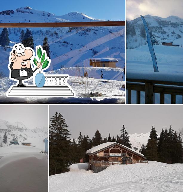 La Luge à Téran