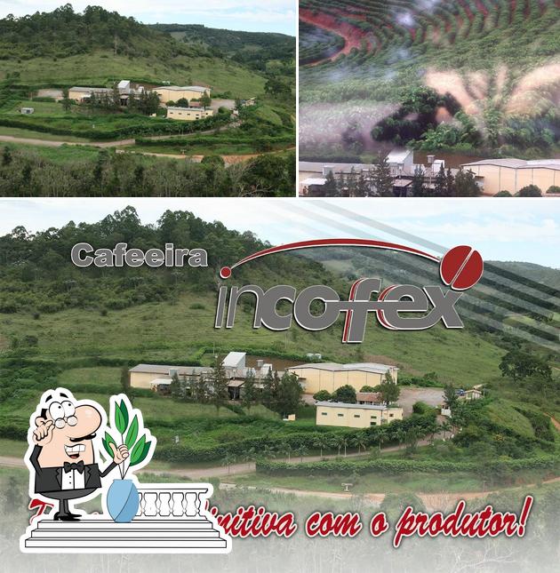Incofex Cafeeira e Armazéns Gerais