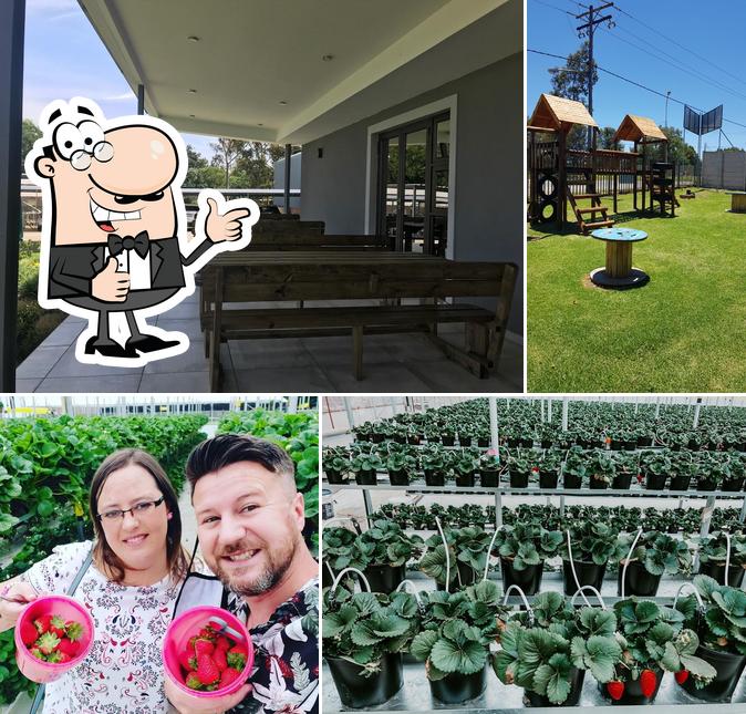 Mac Fresh Deli & Berry Farm Benoni restaurant, Benoni, 48 Evans Rd