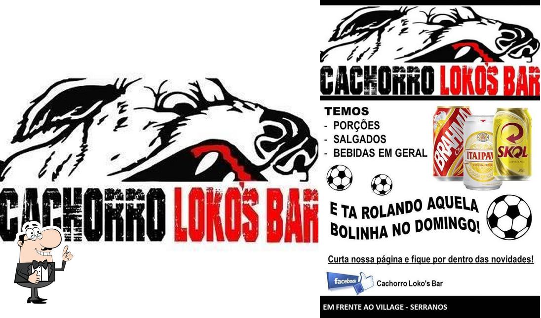 Cachorro Loko picture