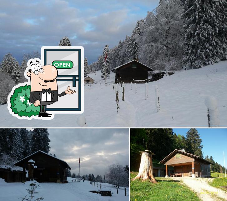Clubhütte Stierenberg Wanderclub Bergli Grindel