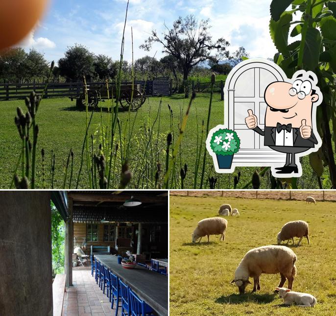 Você pode espairecer no exterior Güntherland