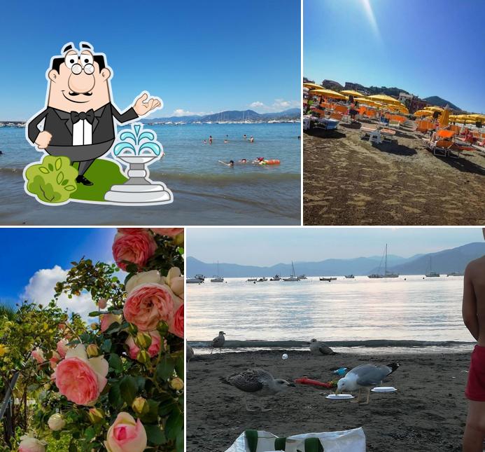 Guarda gli esterni di Nuova Punta Manara - Spiaggia Libera Attrezzata
