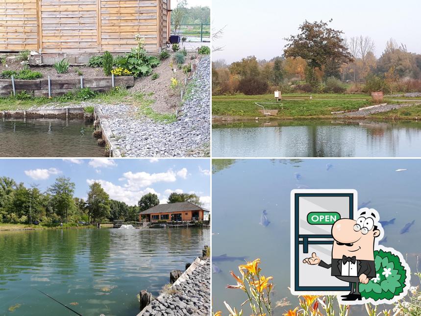 Etangs de la Gite; Etangs de Pêche : Truite, Carpodrome, blancs, Carpe - Bar, Restaurant, Brasserie, Promenade, Randonnée