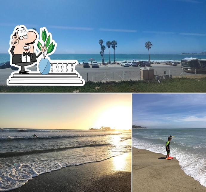 Doheny State Beach Campground in Dana Point