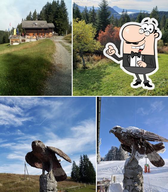 Le Gîte d'Allières