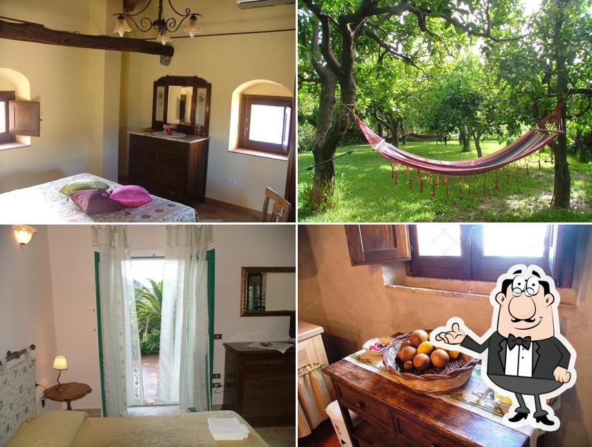 Siediti a un tavolo di Agriturismo Villa Vittoria