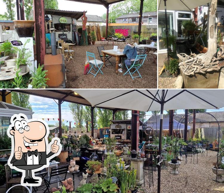 Grow Slow Nursery, Farm Shop & The Pack Horse Cafe in Bridport