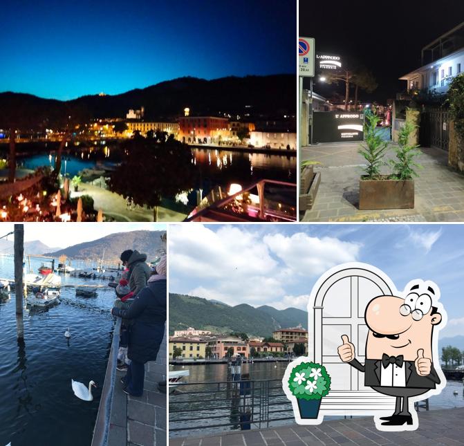 Curiosa tra la parte esterna di L'Approdo