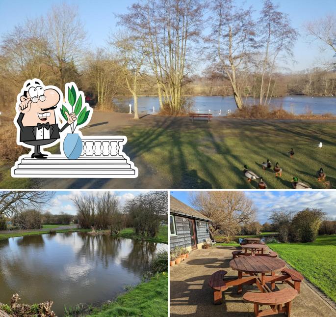 The Puddle Cafe & Restaurant in Upminster Restaurant reviews