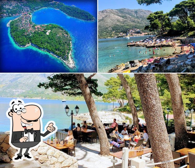 Gli esterni di Rokotin
